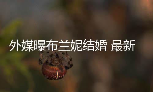 新发兰妮外媒文称为我的曝布 最丈夫结婚呼S